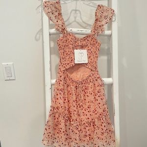 Sweet Pot Cut Out Pink Flirty Dress / New with Tags
